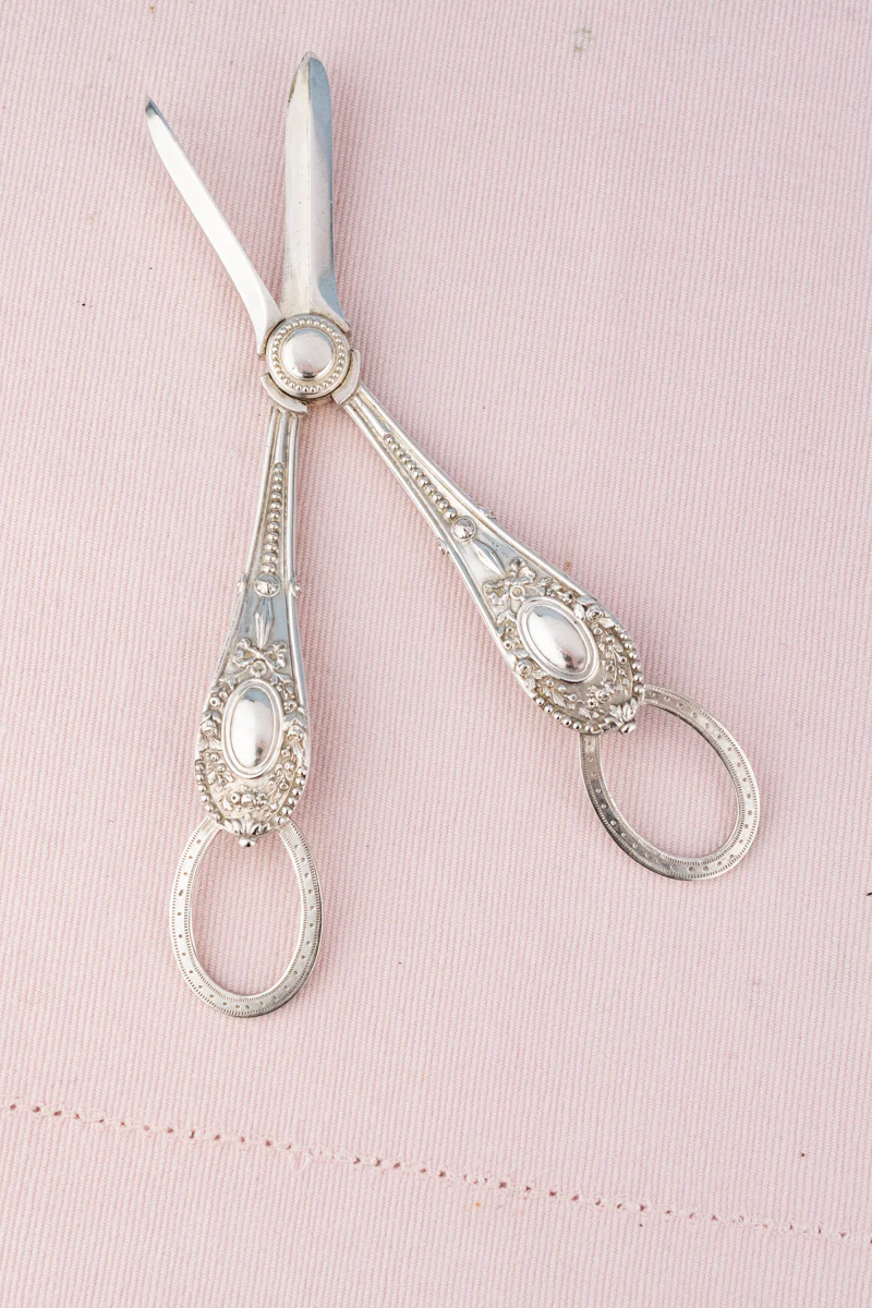 Antique English Silverplate Grape Shears - Image 16