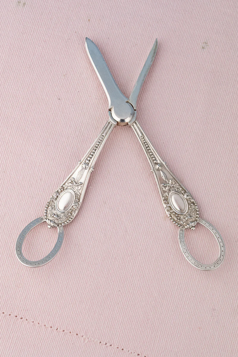 Antique English Silverplate Grape Shears - Image 17
