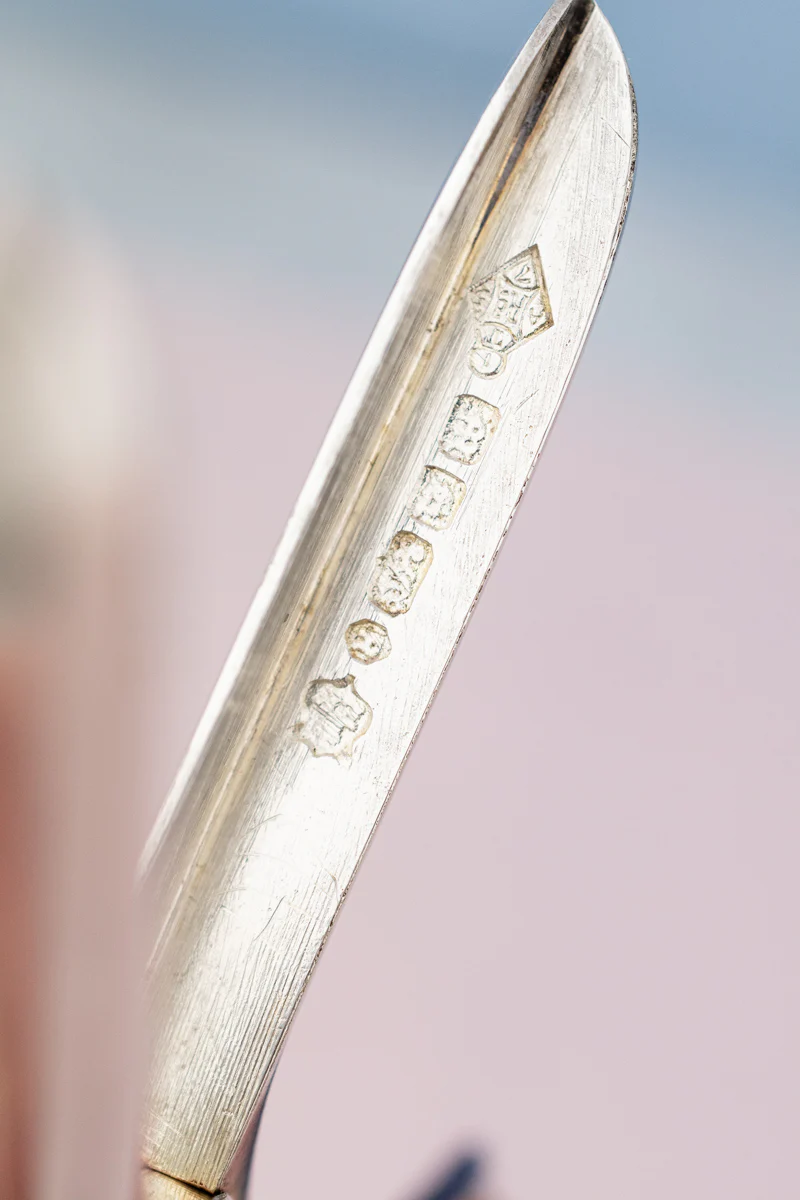 Antique English Silverplate Grape Shears - Image 19