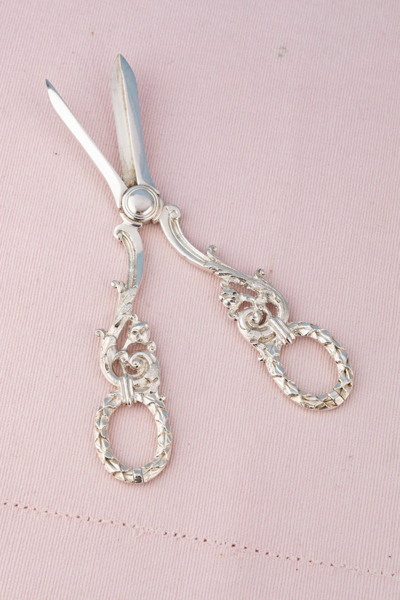 Antique English Silverplate Grape Shears - Image 21
