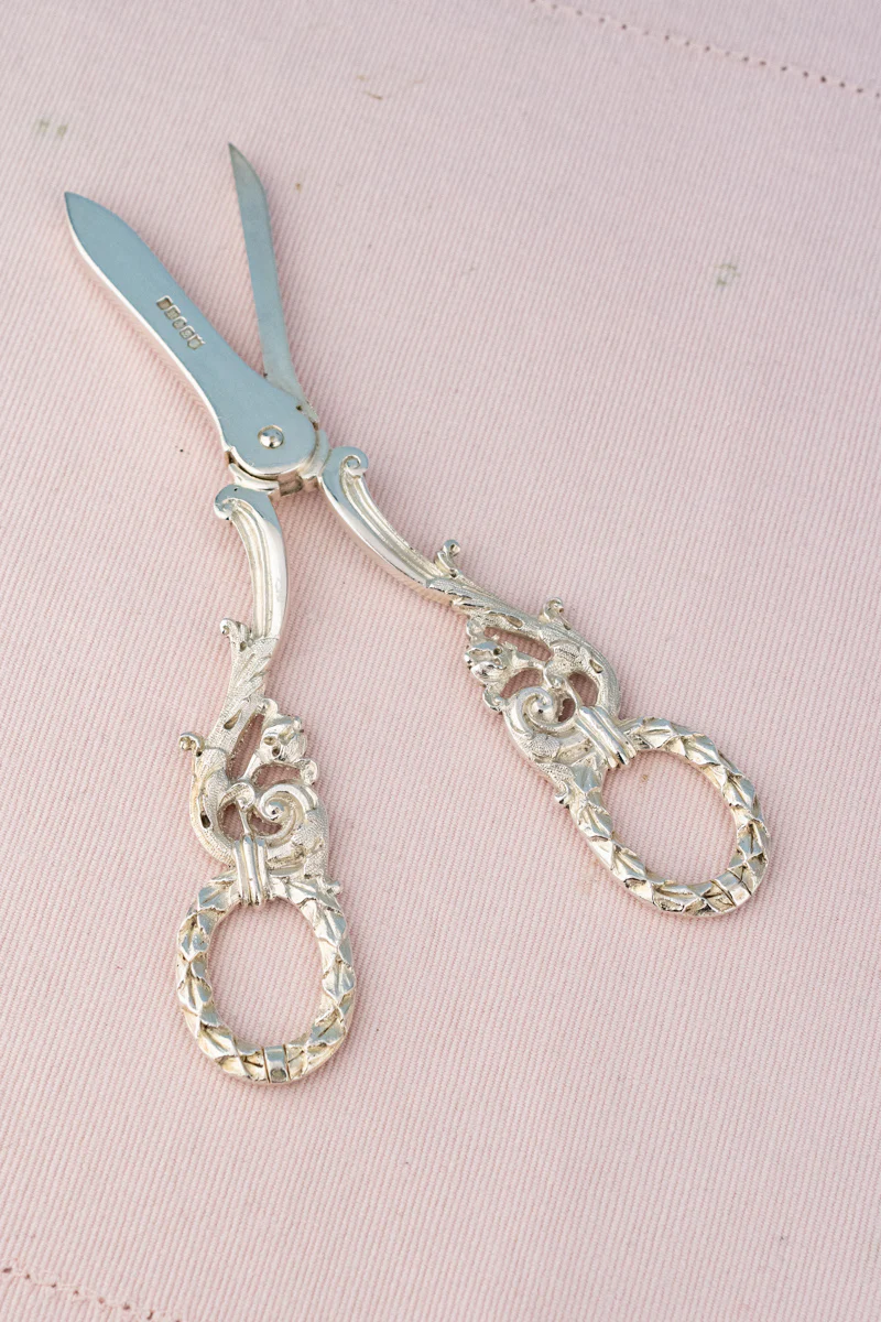 Antique English Silverplate Grape Shears - Image 22