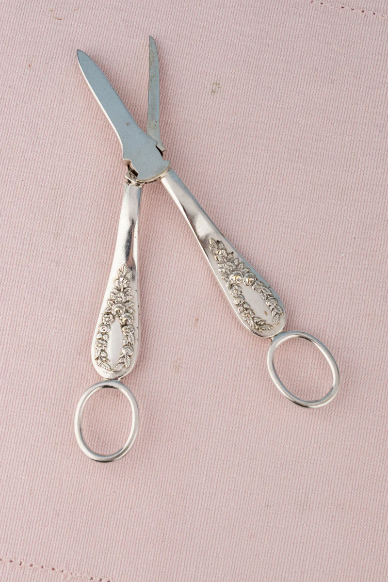 Antique English Silverplate Grape Shears - Image 24