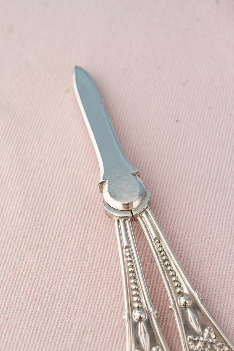 Antique English Silverplate Grape Shears - Image 9
