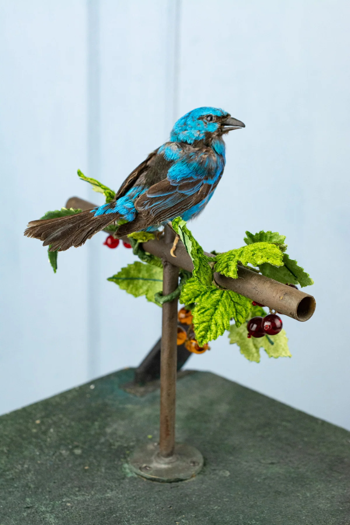 Antique French Singing Bird Automaton - Image 12