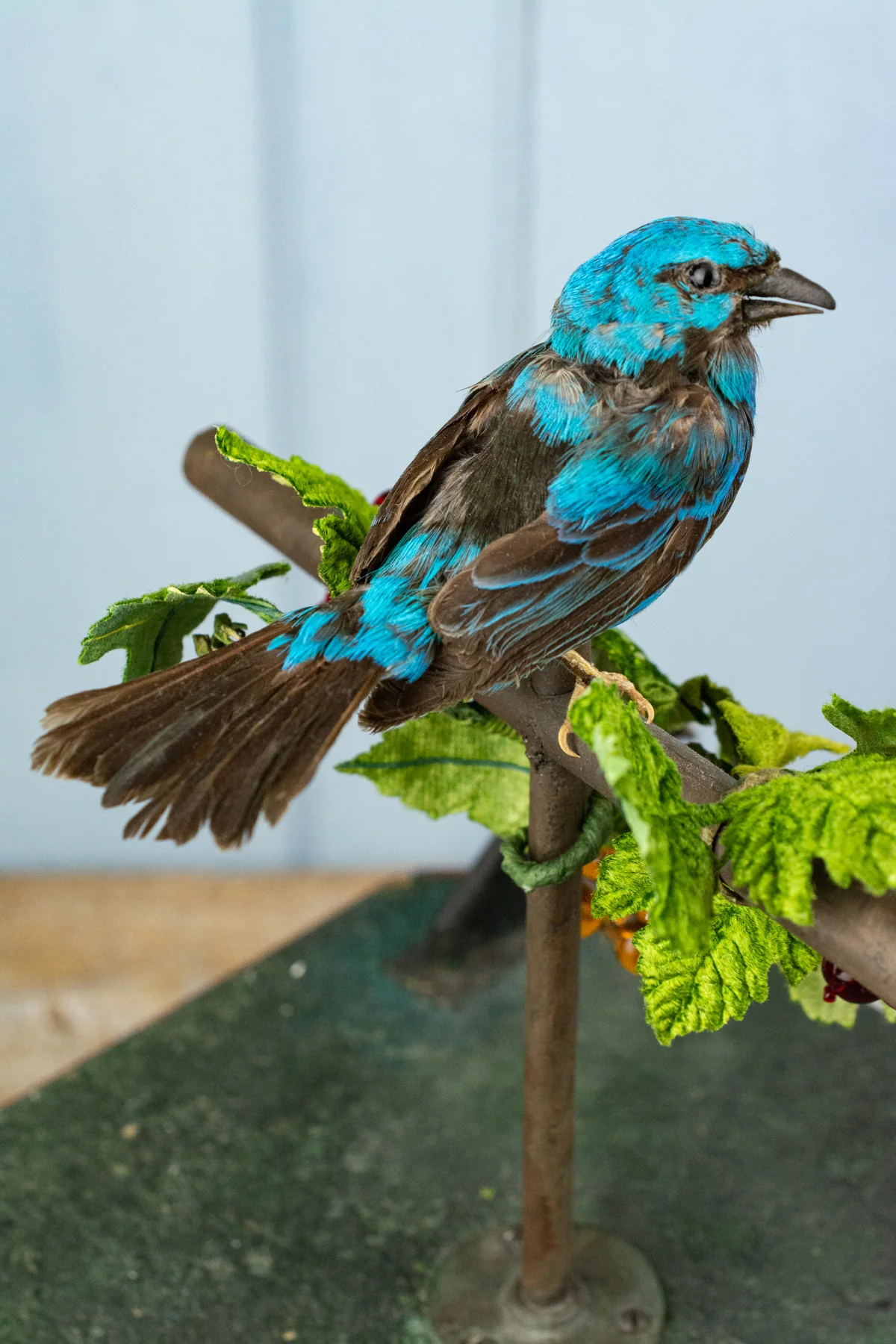 Antique French Singing Bird Automaton - Image 13