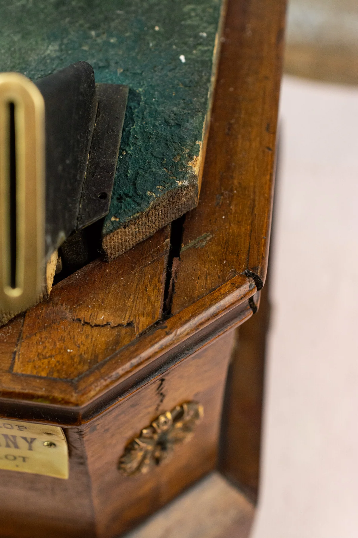Antique French Singing Bird Automaton - Image 25