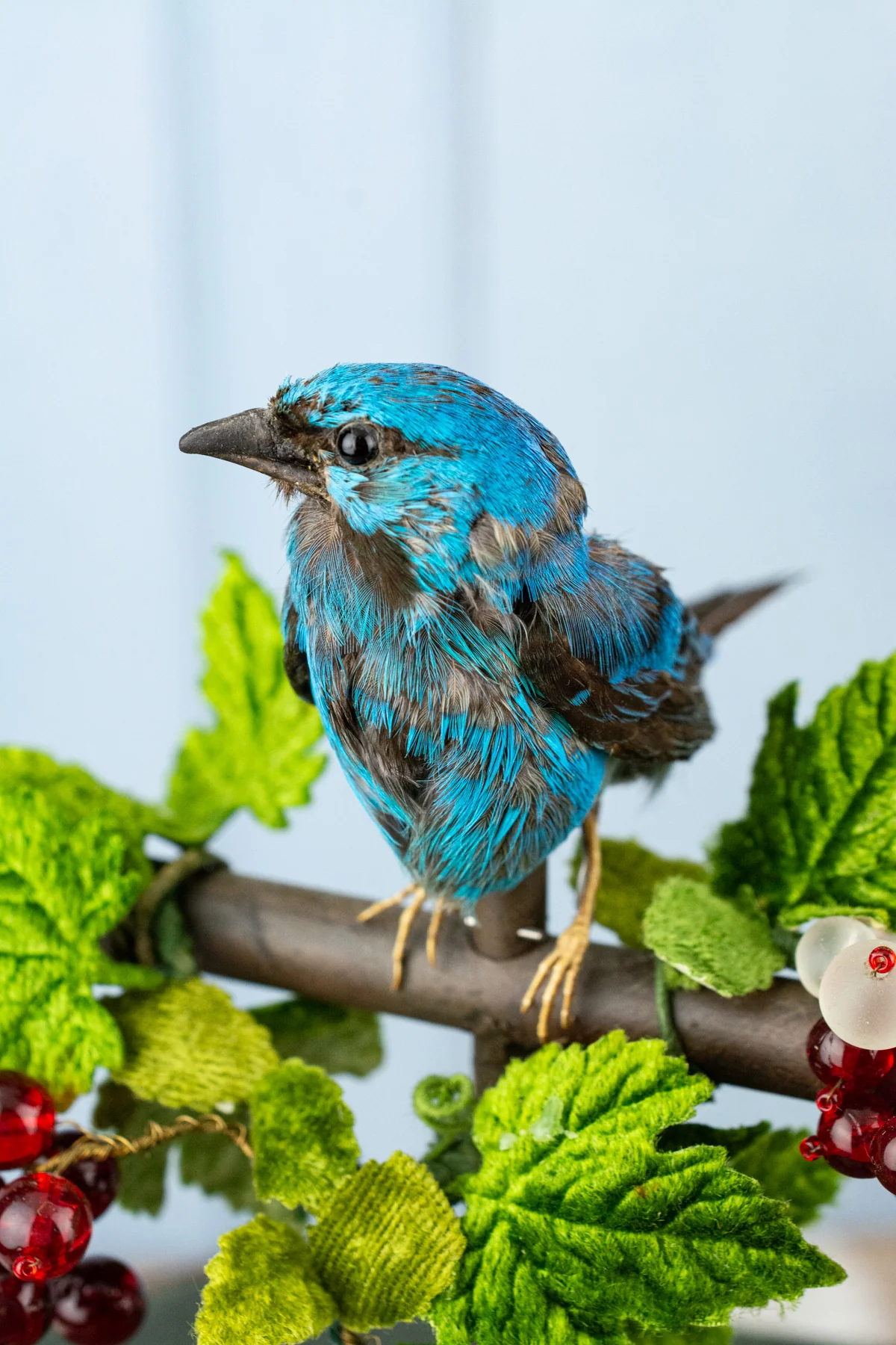 Antique French Singing Bird Automaton - Image 9